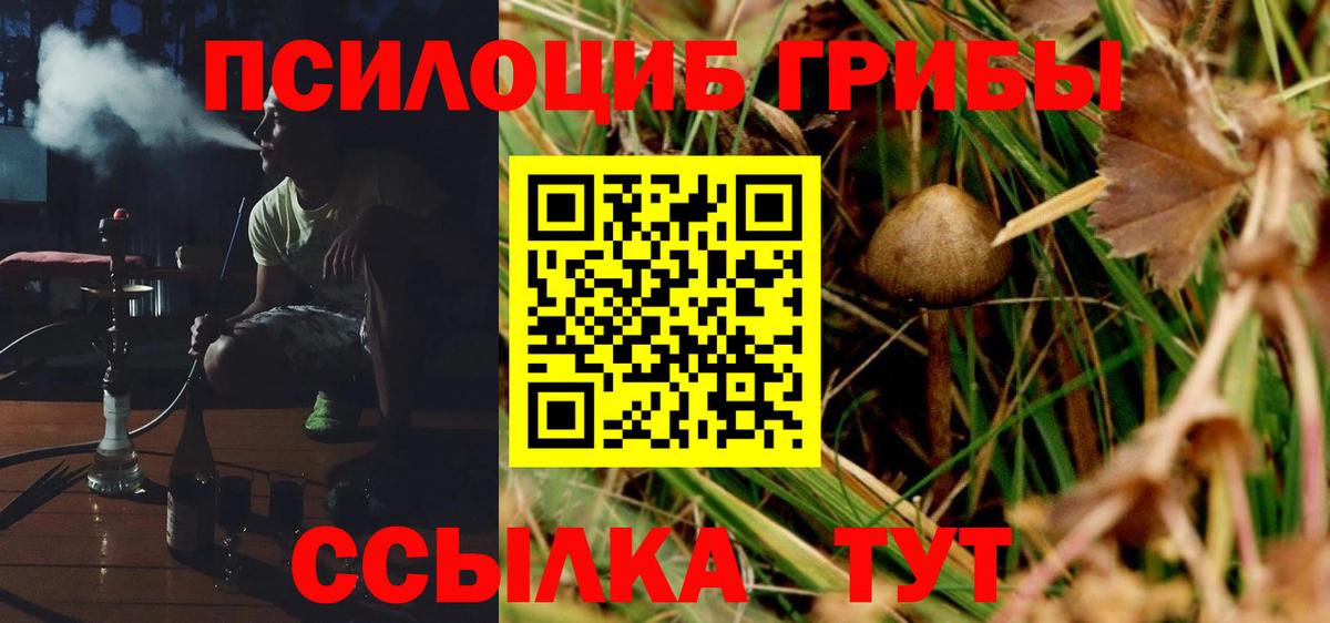 Псилоцибиновые грибы Cubensis  Галлюциногенные грибы мухоморы  Вход с VPN  Елизово 